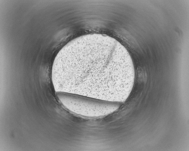 X0000115231060200911271818