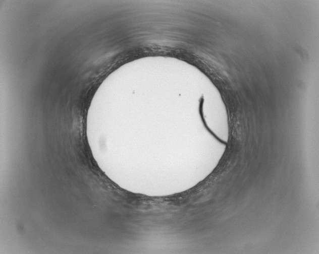 X0000115231061200911271818