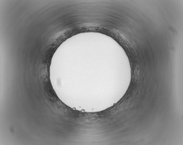 X0000115231062200911271818