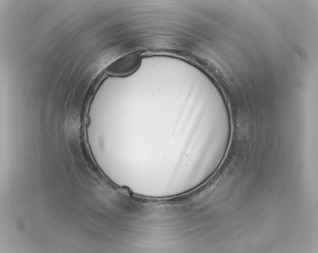 X0000115231065200911271818