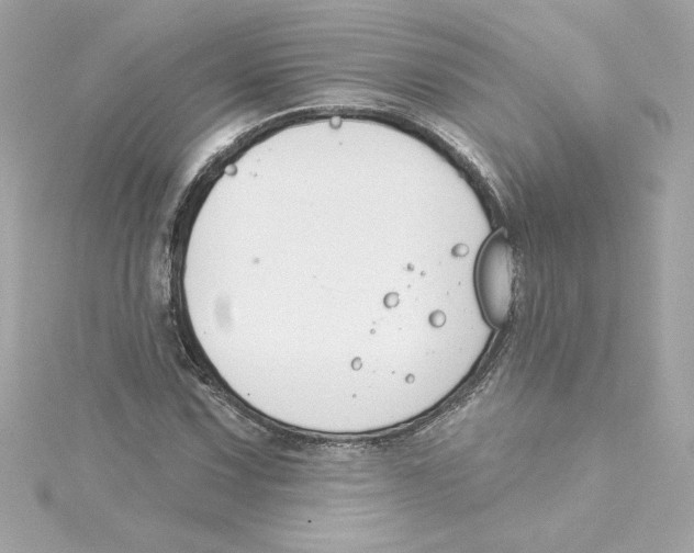 X0000115231067200911271818