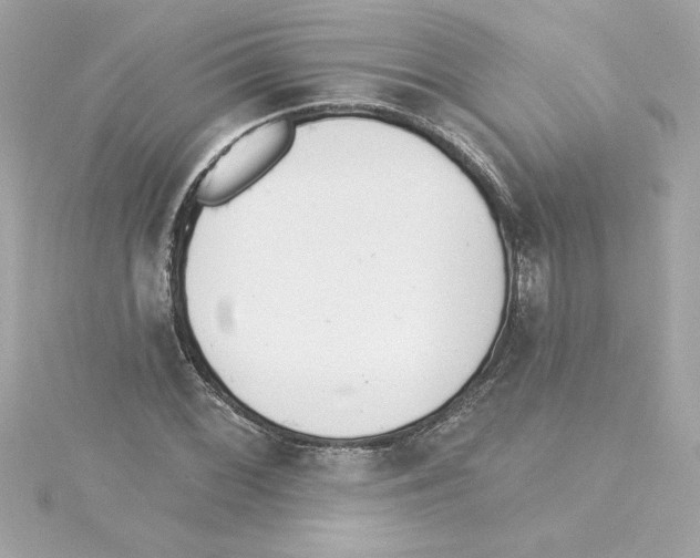 X0000115231068200911271818