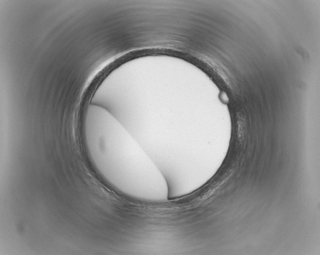 X0000115231069200911271817