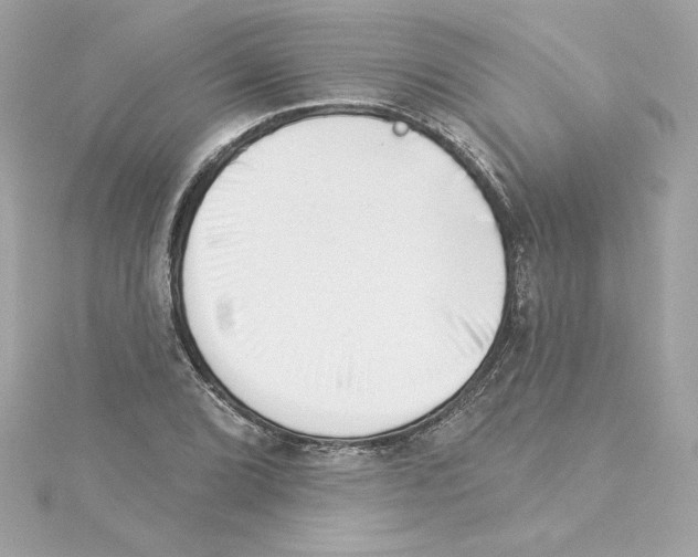 X0000115231072200911271817