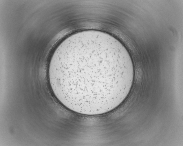 X0000115231074200911271817