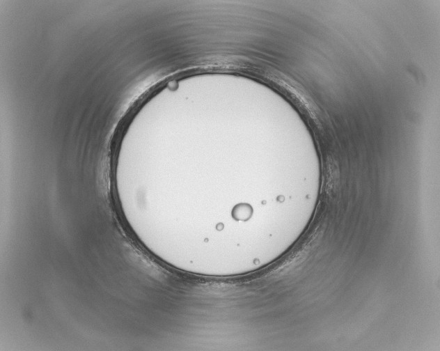 X0000115231075200911271817