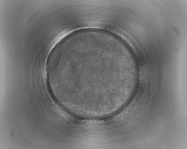 X0000115231077200911271817