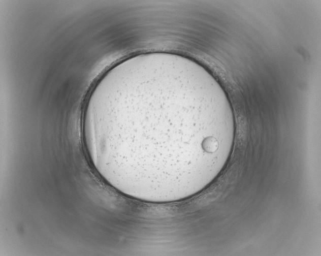 X0000115231078200911271817