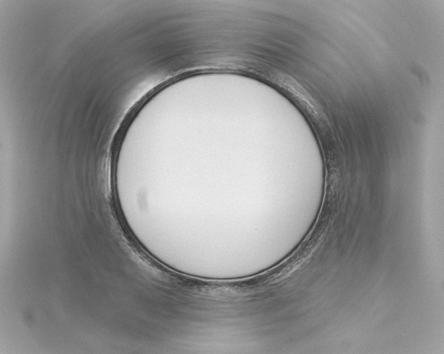 X0000115231079200911271817