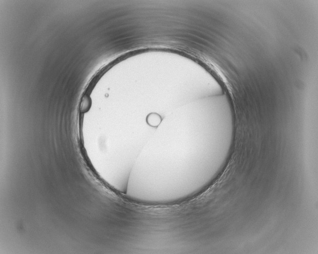 X0000115231080200911271817