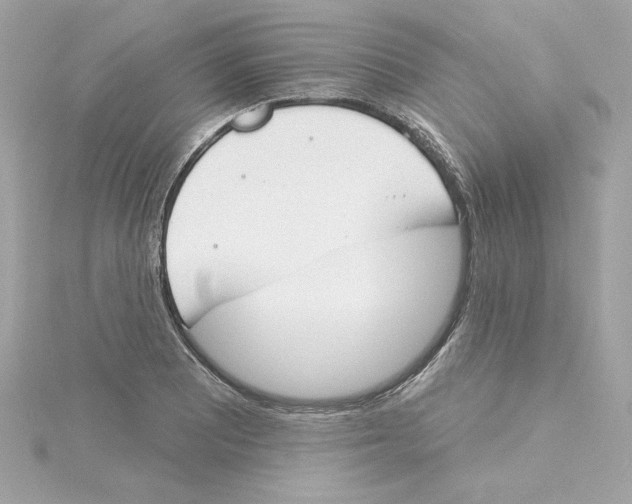 X0000115231081200911271817