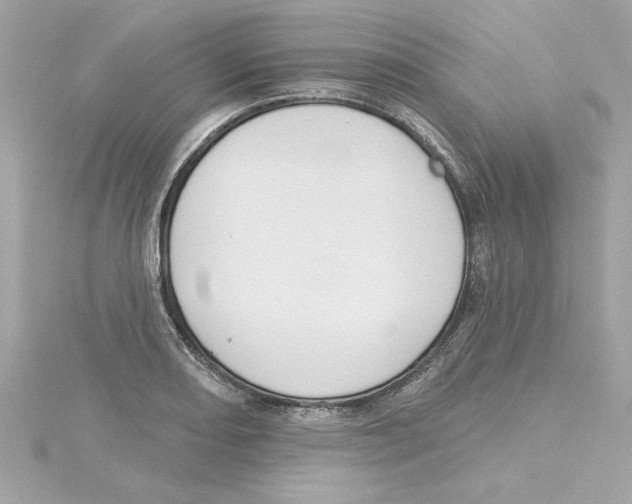 X0000115231082200911271817