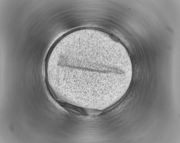 X0000115231084200911271817