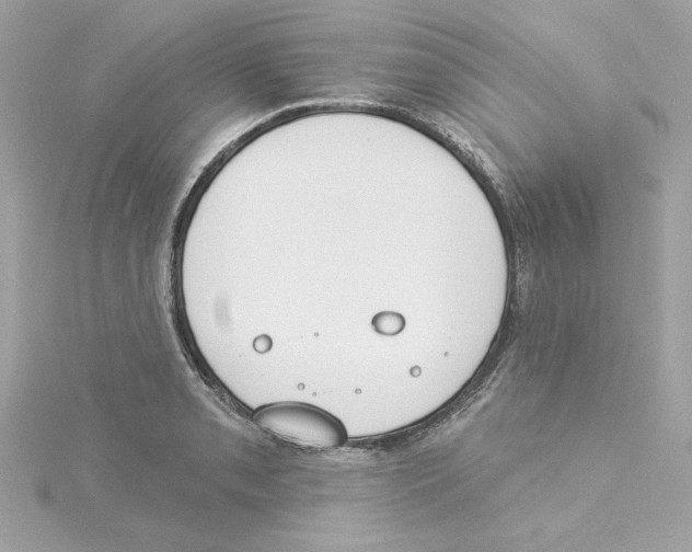 X0000115231085200911271817