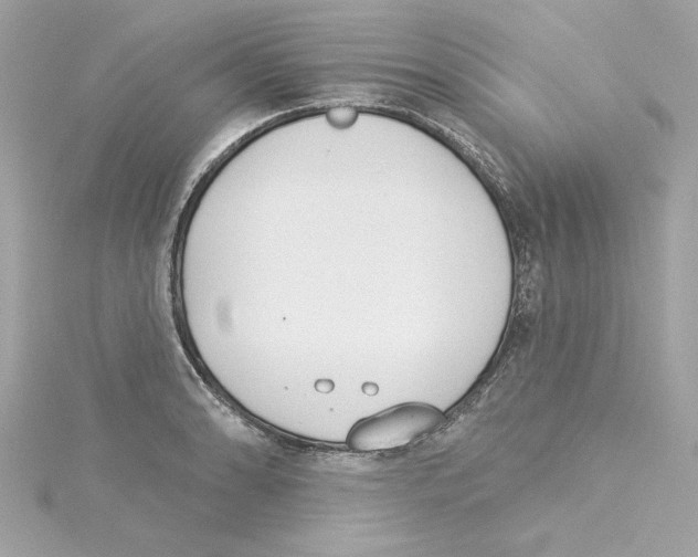 X0000115231086200911271817