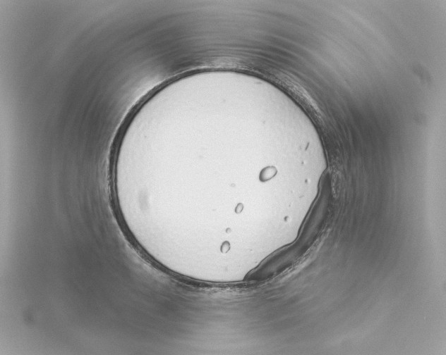 X0000115231087200911271817