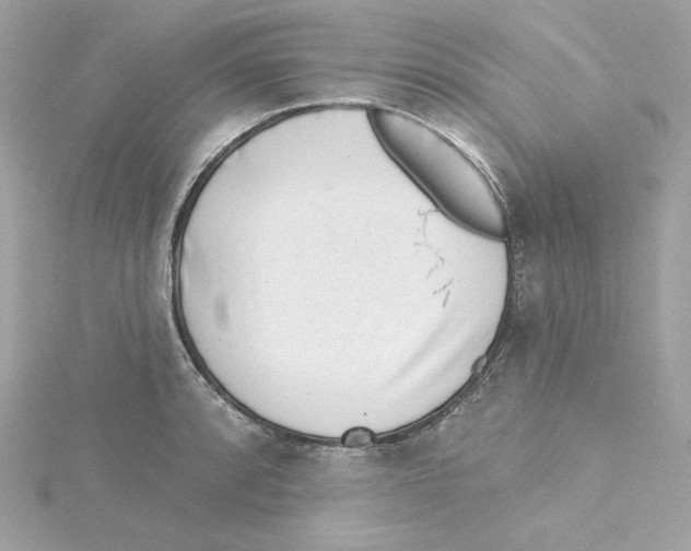 X0000115231088200911271817