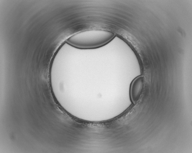 X0000115231089200911271817