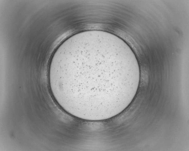 X0000115231090200911271817