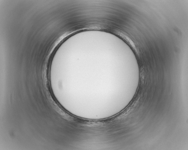 X0000115231091200911271817