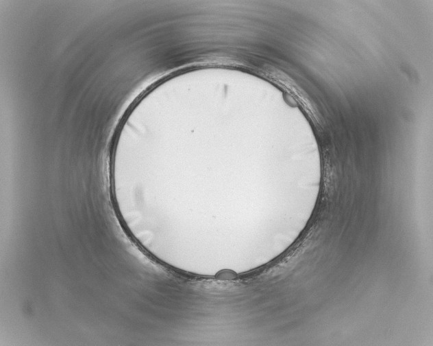 X0000115231092200911271817