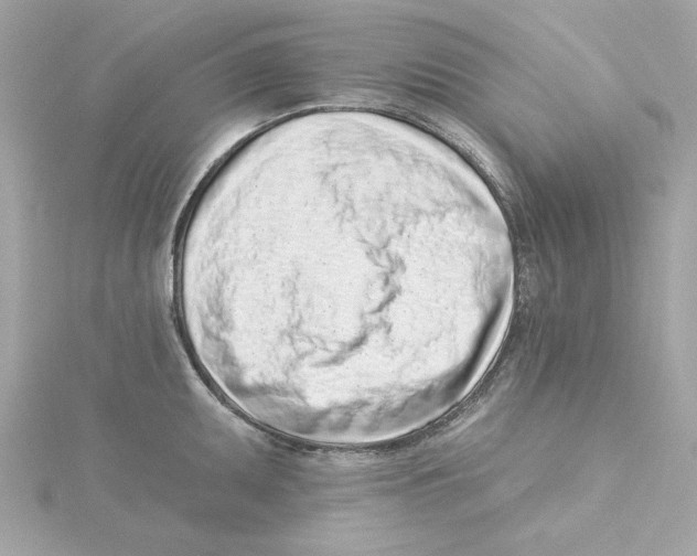 X0000115231095200911271817