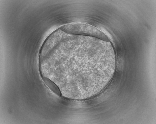 X0000115231096200911271817