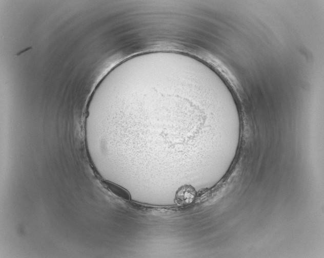 X0000115231097200911271817