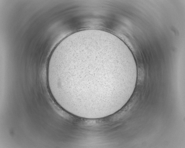 X0000115231098200911271817