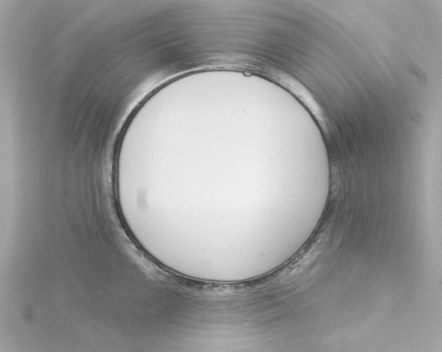 X0000115231099200911271817