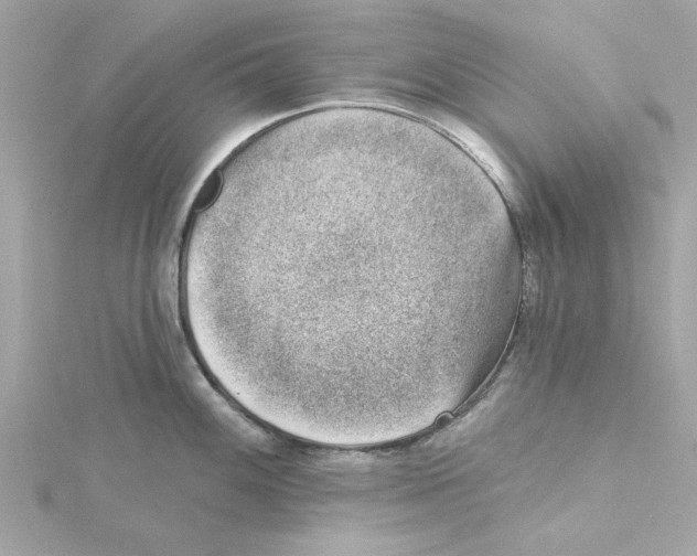 X0000115231100200911271817