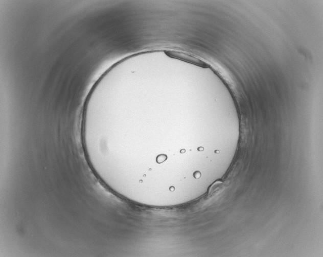 X0000115231102200911271817