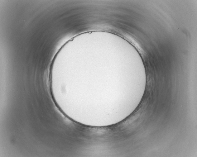 X0000115231103200911271817