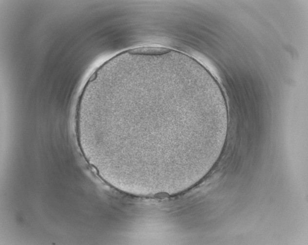 X0000115231104200911271817