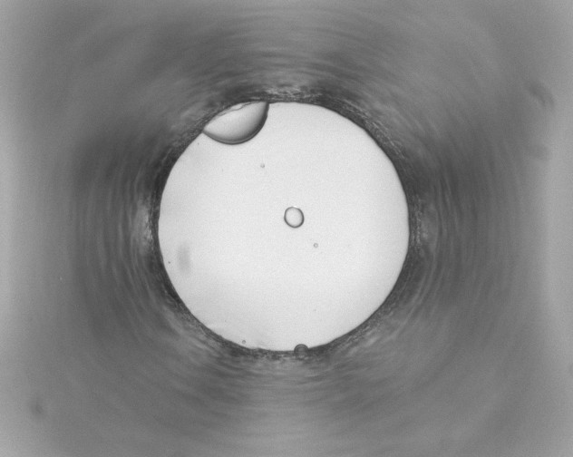 X0000115231106200911271816