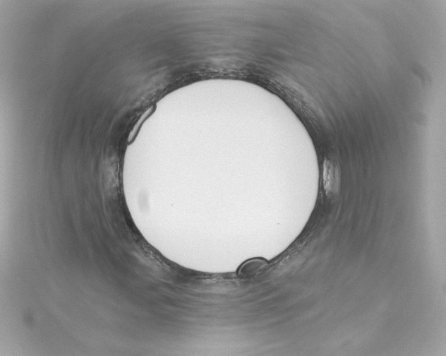 X0000115231107200911271816