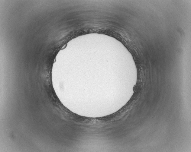 X0000115231109200911271816