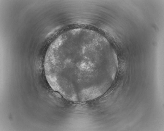 X0000115231110200911271816