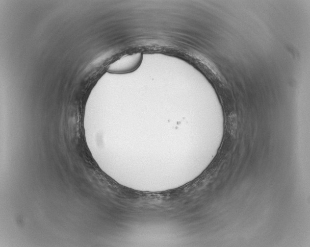 X0000115231111200911271816