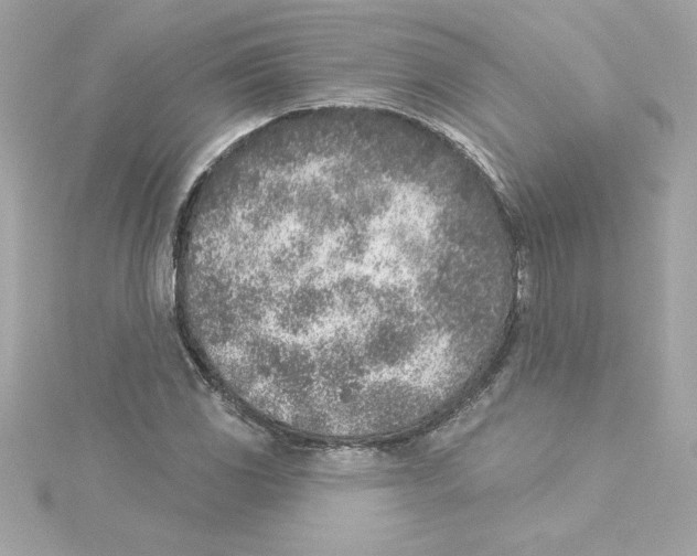 X0000115231117200911271816