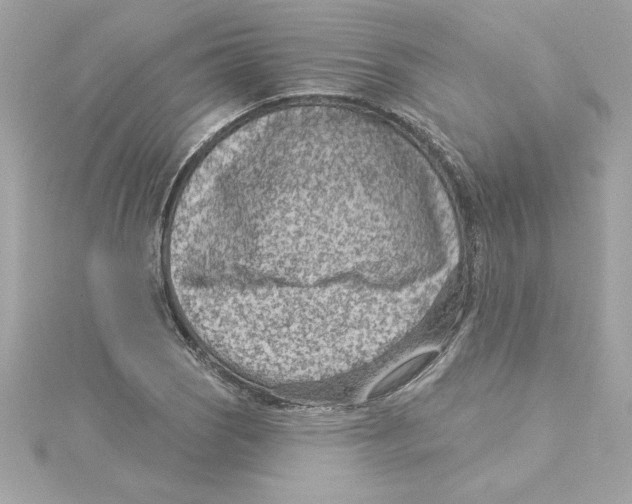 X0000115231121200911271816