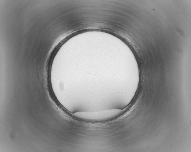 X0000115231122200911271816