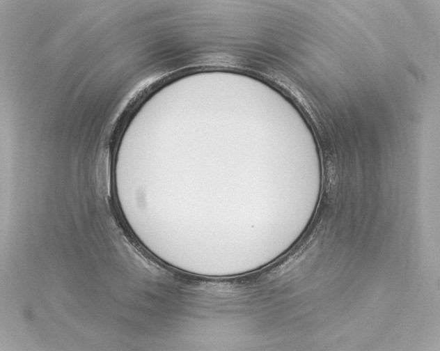 X0000115231123200911271816