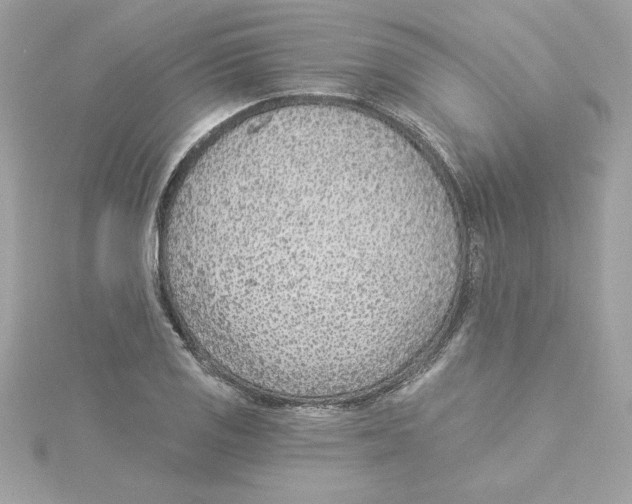 X0000115231125200911271817