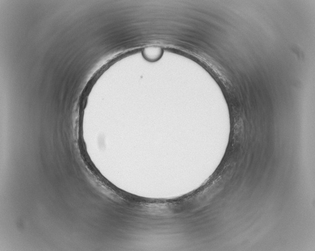 X0000115231126200911271817