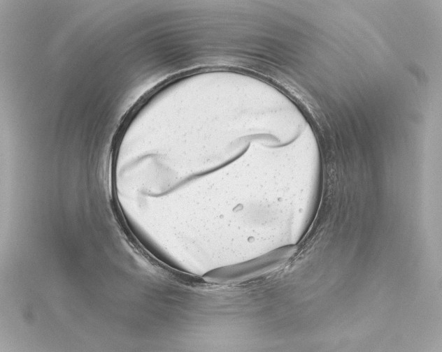 X0000115231127200911271817