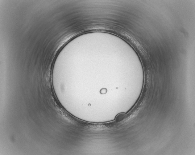 X0000115231129200911271817