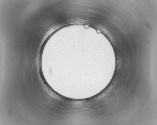 X0000115231130200911271817