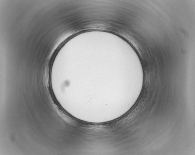 X0000115231131200911271817