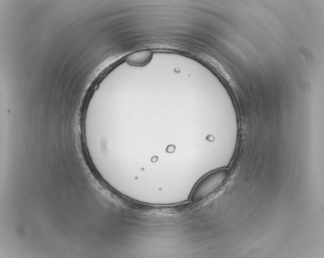 X0000115231133200911271817